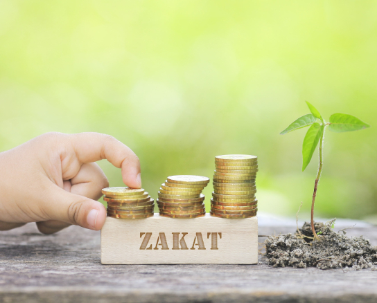 இலங்கை முஸ்லிம்களின் பொருளாதார நெருக்கடிக்கான சிறந்த தீர்வு ஜகாத்தை முறையாக வழங்க ஊக்கப்படுத்துவதாகும்