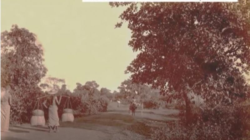 “سينامان غاردنز” في سريلانكا