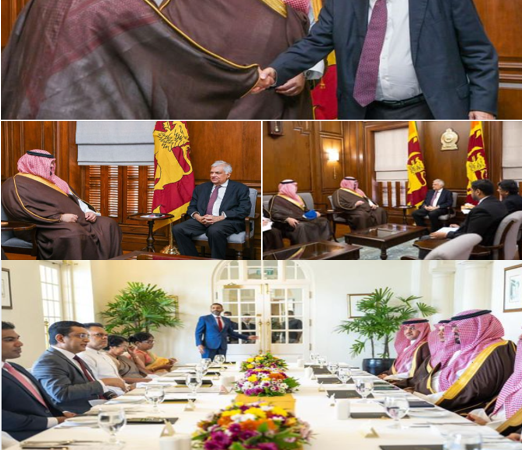 السعودية وسريلانكا تبحثان سبل تعزيز العلاقات الاقتصادية والتجارية